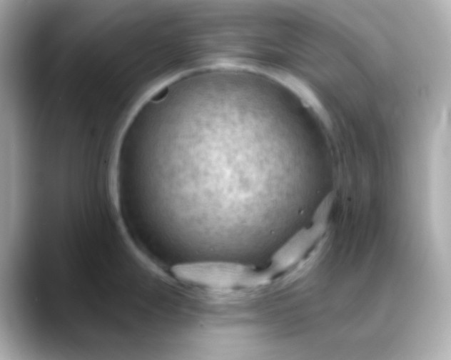 X0000088411247200706051148