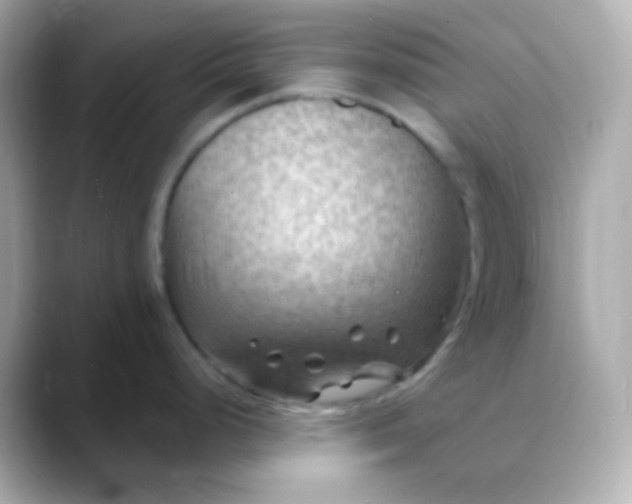 X0000088411248200706051148