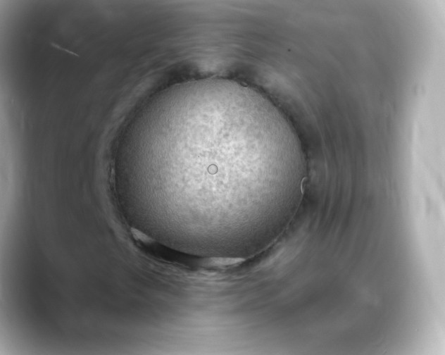 X0000088411249200706051147