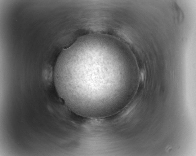 X0000088411251200706051147