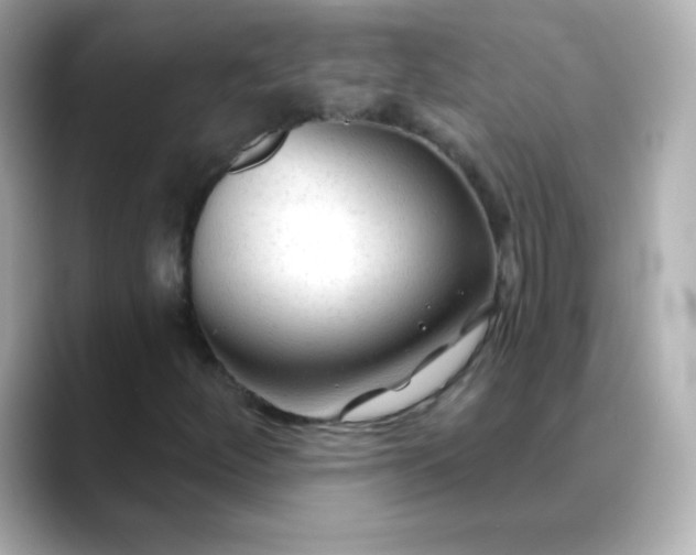 X0000088411252200706051147