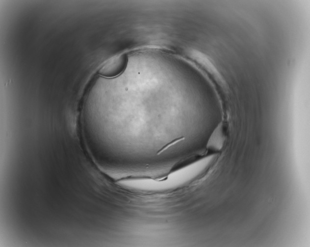 X0000088411260200706051147