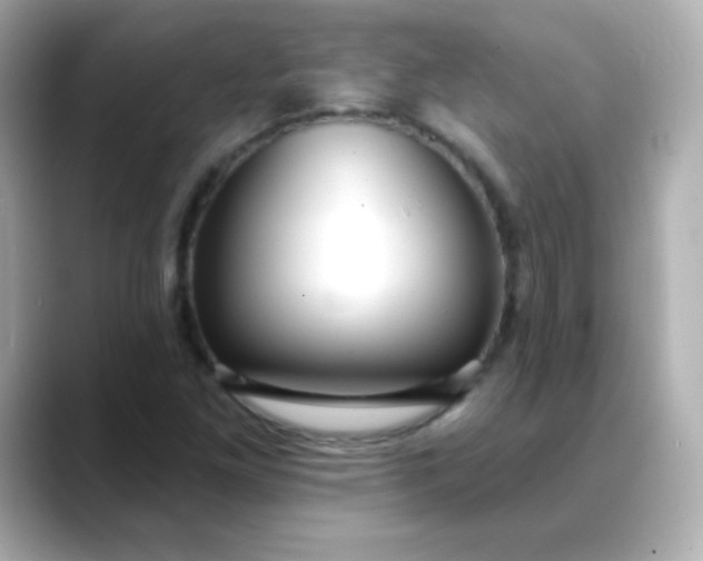 X0000088411261200706051147
