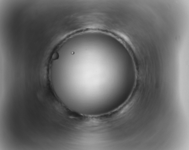 X0000088411263200706051147