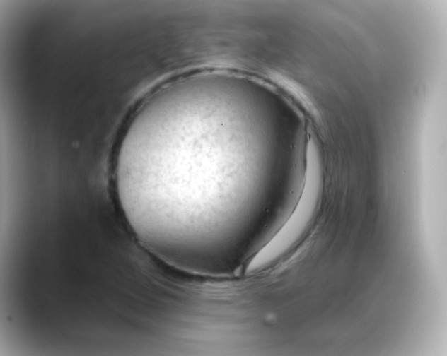 X0000088411264200706051147