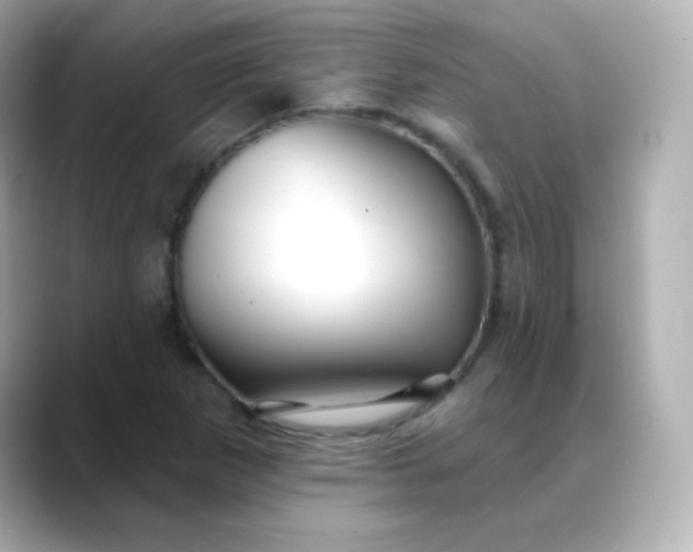 X0000088411265200706051147