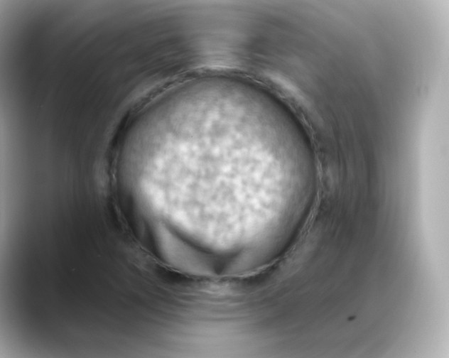 X0000088411266200706051147