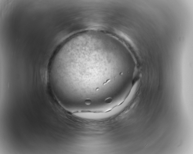 X0000088411267200706051147