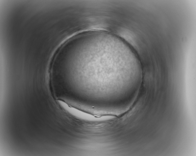 X0000088411268200706051147