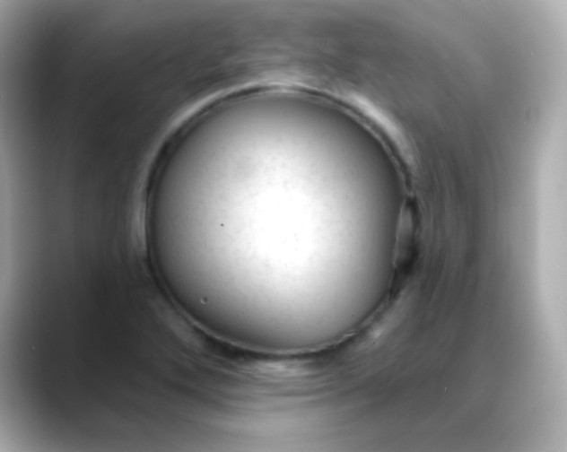 X0000088411272200706051147
