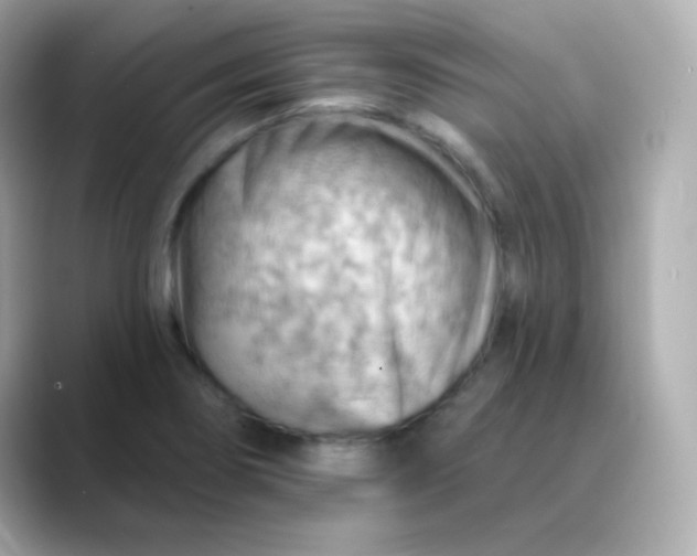 X0000088411274200706051147