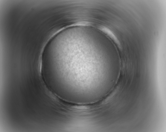 X0000088411276200706051147