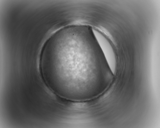 X0000088411277200706051147