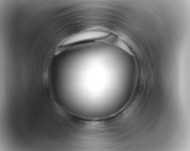 X0000088411281200706051147