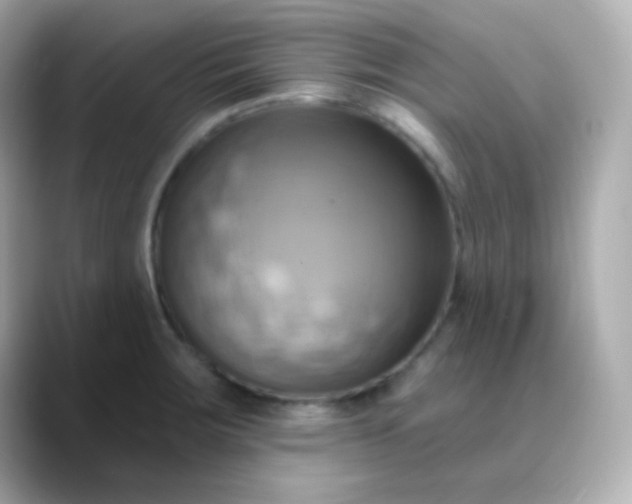 X0000088411283200706051147