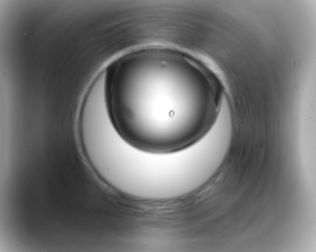 X0000088411287200706051147