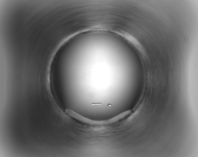 X0000088411288200706051147