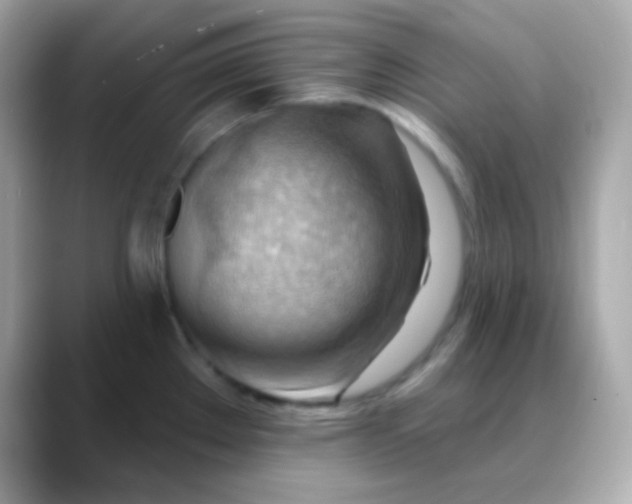 X0000088411289200706051147