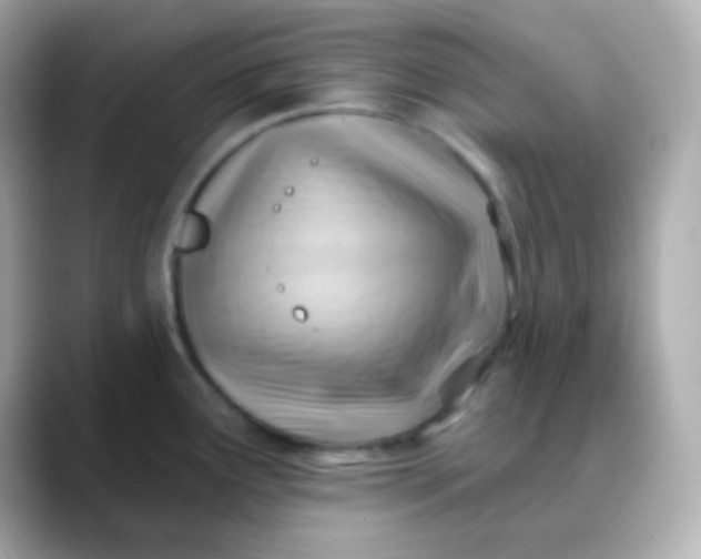 X0000088411291200706051147