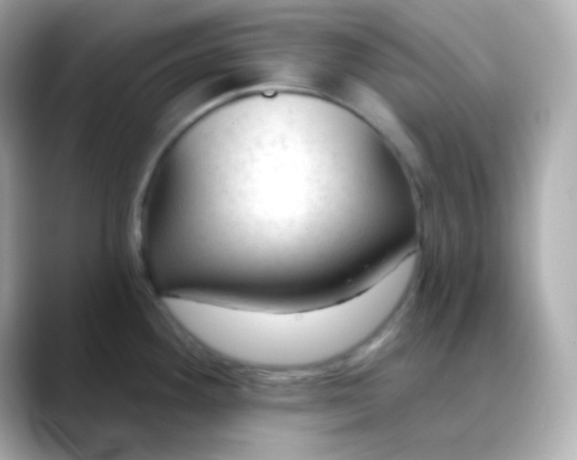 X0000088411292200706051147