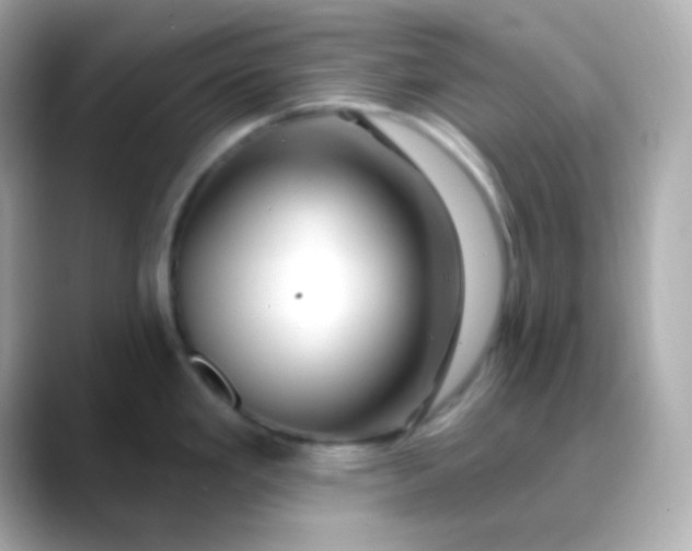 X0000088411293200706051147