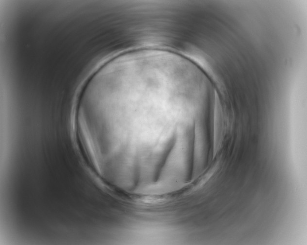 X0000088411294200706051147