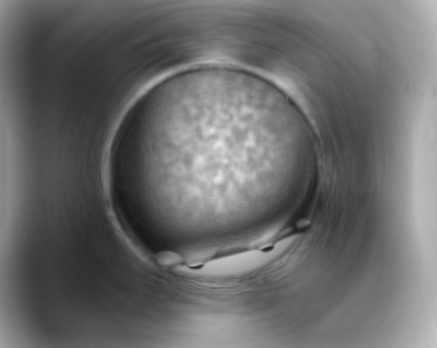 X0000088411295200706051147