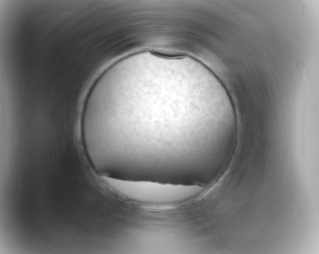 X0000088411296200706051147