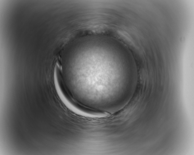 X0000088411298200706051146