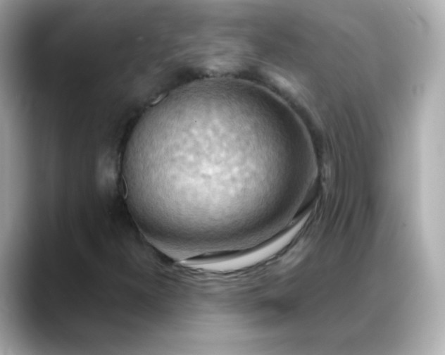 X0000088411300200706051146