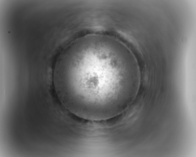 X0000088411301200706051146