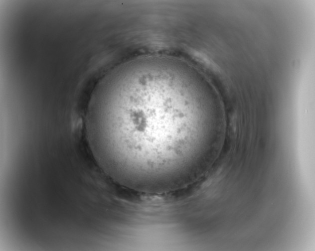 X0000088411302200706051146