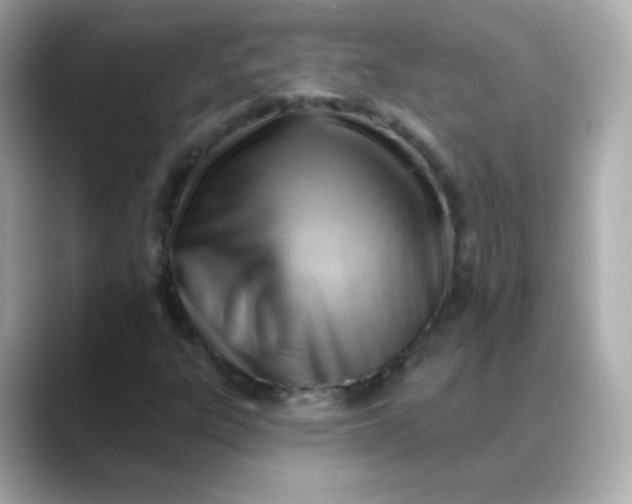 X0000088411303200706051146