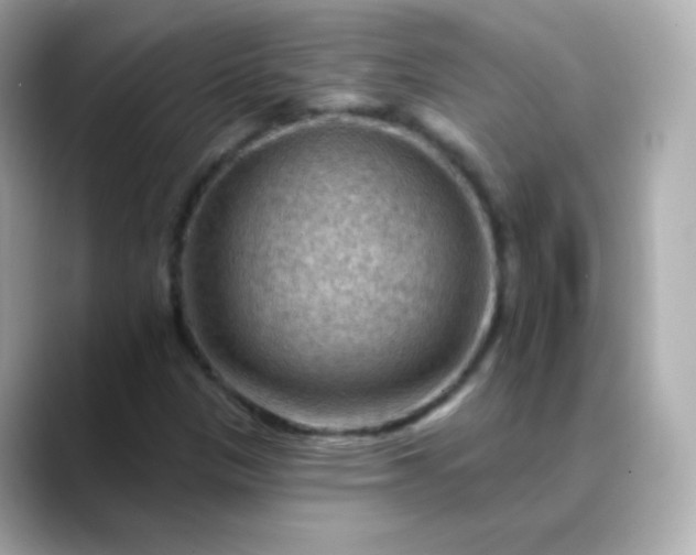 X0000088411305200706051146