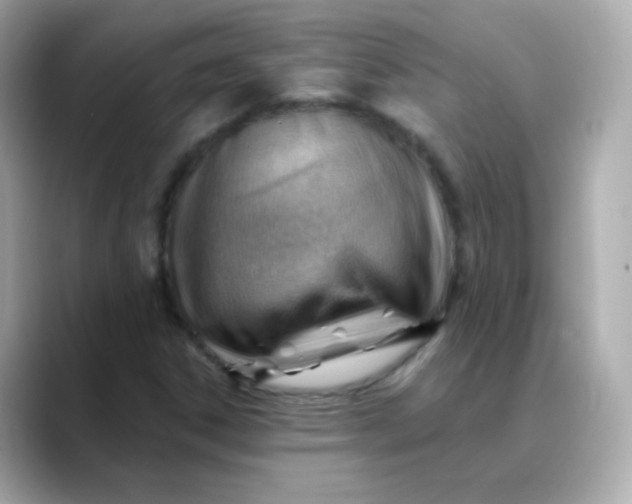 X0000088411306200706051146