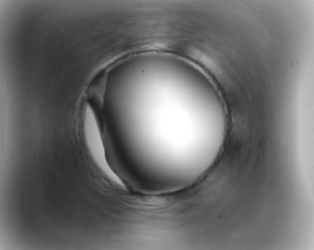 X0000088411308200706051146