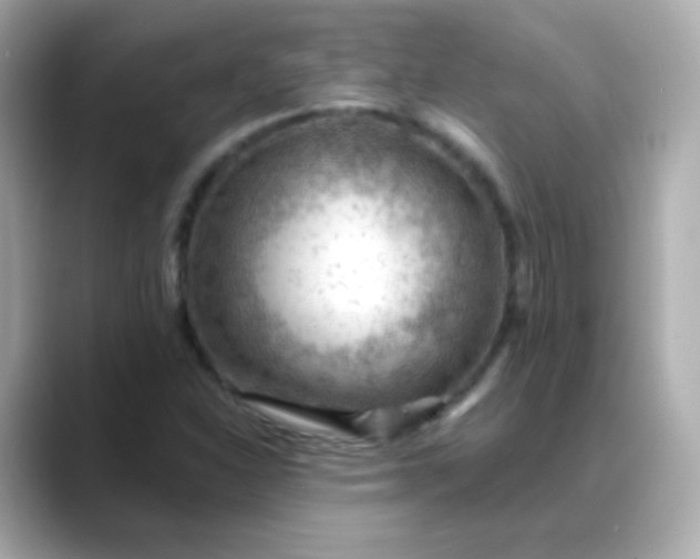 X0000088411310200706051146