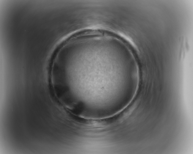 X0000088411311200706051146
