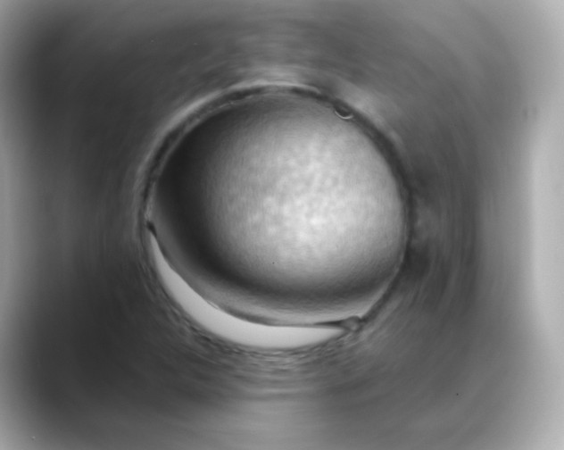 X0000088411312200706051146
