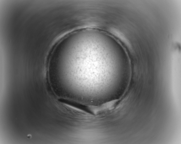 X0000088411316200706051146