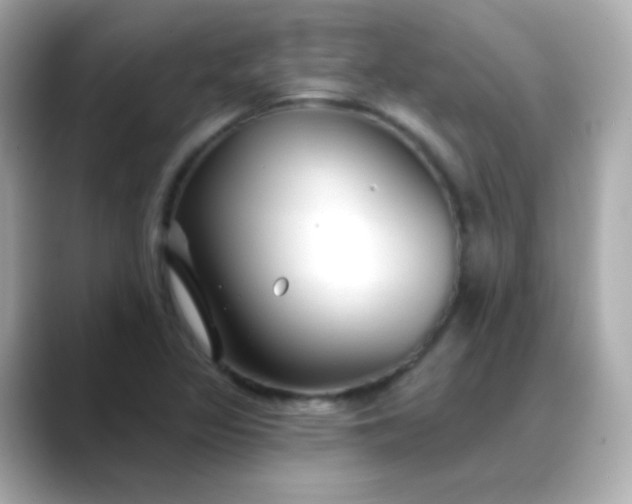 X0000088411317200706051146
