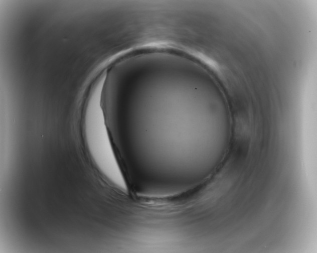 X0000088411319200706051146