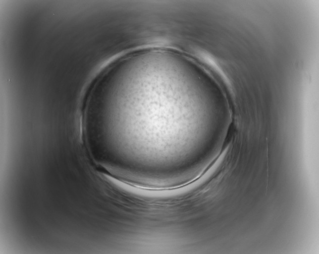 X0000088411320200706051146