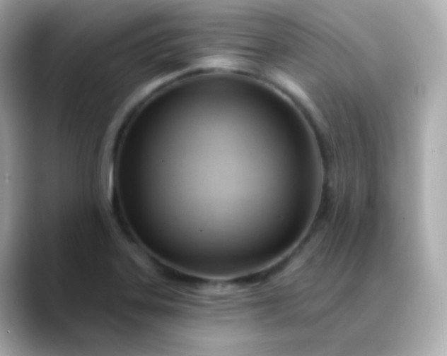 X0000088411323200706051147