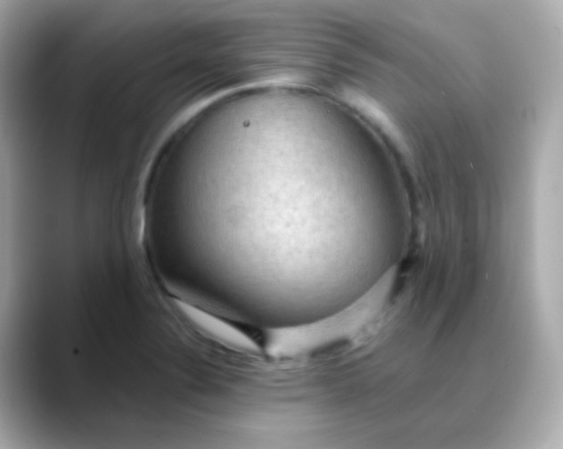 X0000088411324200706051147