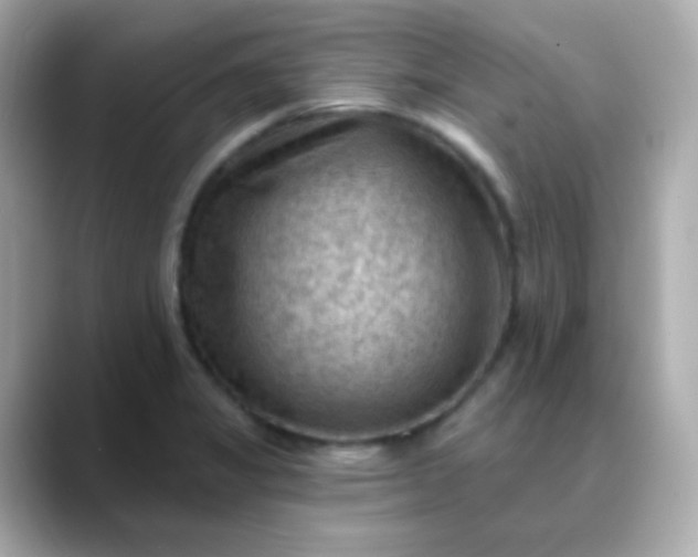 X0000088411325200706051147