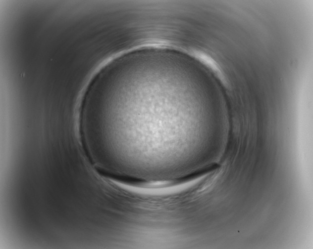 X0000088411326200706051147