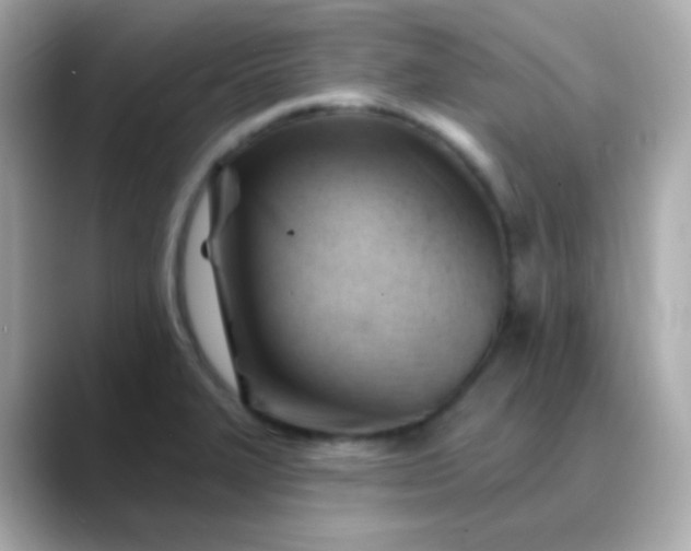 X0000088411327200706051147