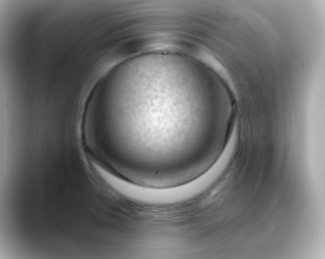 X0000088411330200706051147