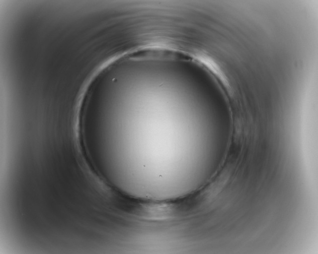 X0000088411331200706051147